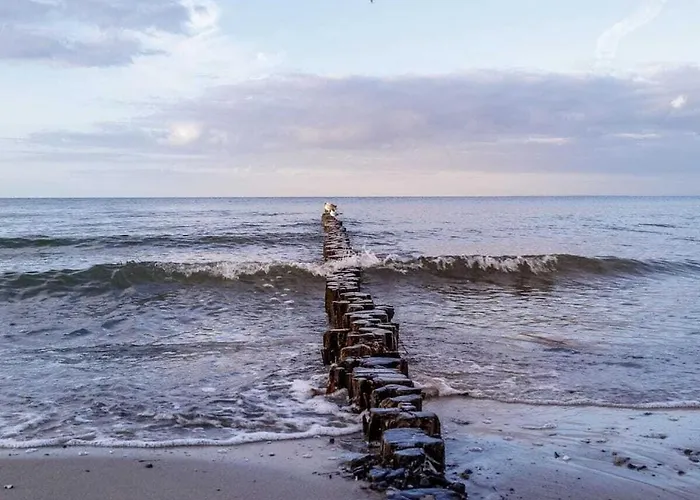 Ostseeloft Center Apartamento *